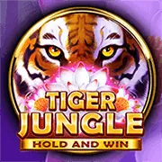 Giao diện thân thiện i9bet chính thức