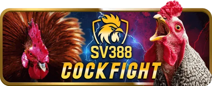 Khuyến mãi và ưu đãi i9bet